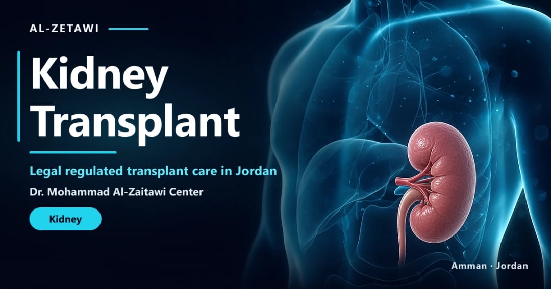 Kidney transplant 3D illustration: a kidney in anatomical position, legal donation only, Jordan